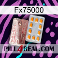 Fx75000 new13